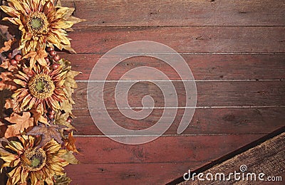 Fall border with sunflowers on grunge red wood background Stock Photo