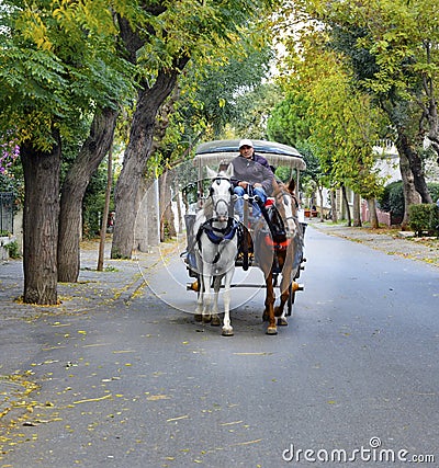 In the fall Buyukada Phaeton. Horse Carriage Editorial Stock Photo