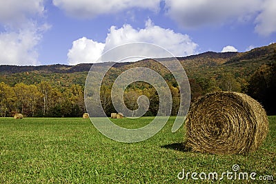 Fall in Cades Cove Stock Photo