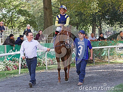 The Fall Championship Meet from Belmont Park Editorial Stock Photo