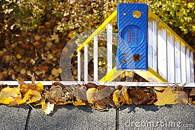 Fall Cleanup - Leaves in Gutter Stock Photo