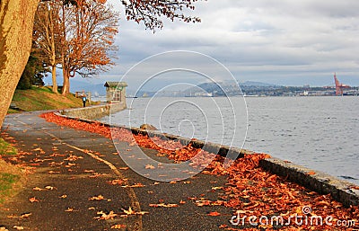 Fall Color, Autumn leaves, City Landscape in Stanley Paark, Downtown Vancouver, British Columbia Stock Photo