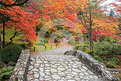 Fall Color Landscape with Stone Bridge and Walking Path Stock Photo