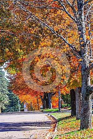 Fall colorful, middle of October in New Brunswick, Canada Stock Photo