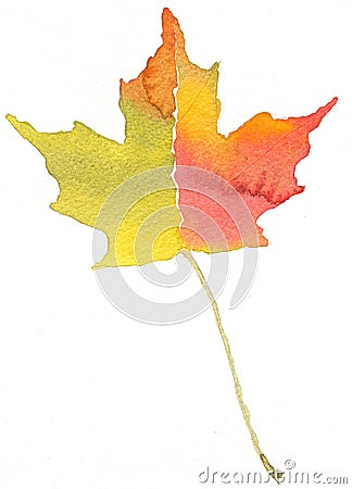 Fall Colors Stock Photo