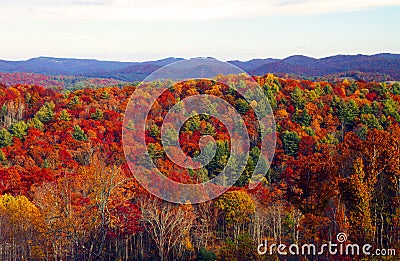 Fall colors Stock Photo