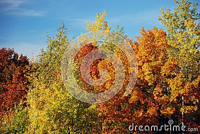 Fall colors Stock Photo