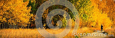 Fall Colors along a footpath. Stock Photo