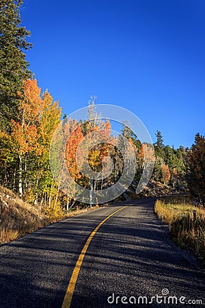 Fall colors along the road Stock Photo