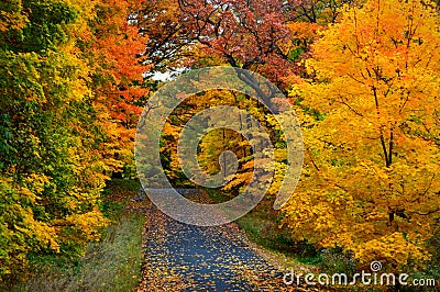 Fall Road Stock Photo