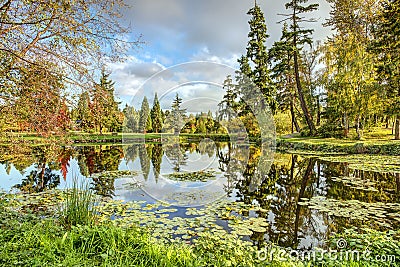 Fall Colors Reflect in Calm Lake Stock Photo