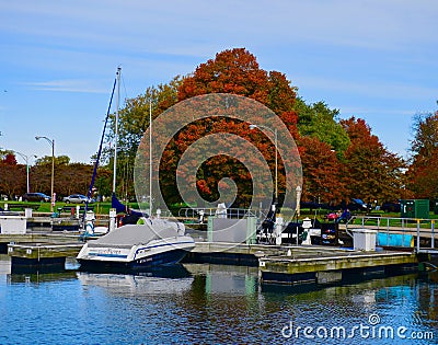 Fall Colors Creeping Into Lincoln Park #2 Stock Photo