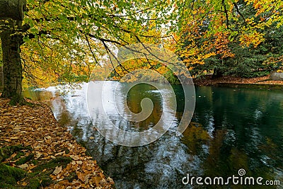 Fall Colors at Laurelhurst Park Portland Oregon Stock Photo