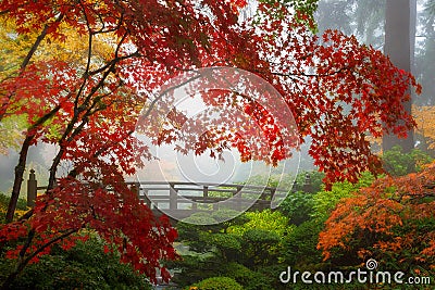 Fall Colors by the Moon Bridge in Portland Japanese Garden in Oregon Stock Photo