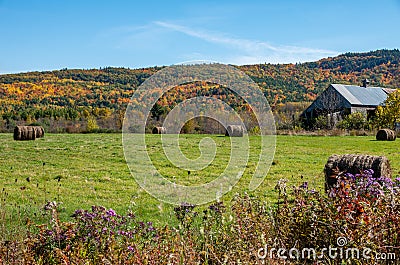 Fall colors in the North country NY Stock Photo