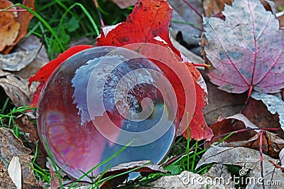 A round clear globe reflects fall colors in the bubble. Stock Photo