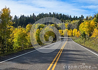 Fall colors, Utah Stock Photo