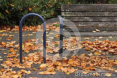 Fall colour leves and tree in danish capital Copenhagen Stock Photo