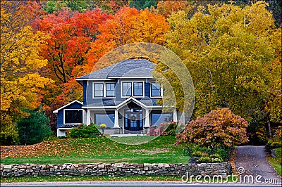 Fall Colours behind a house Stock Photo