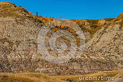 Fall colours dot the badlands. Tolman Badlands Heritage Rangeland Natural Area Alberta Canada Stock Photo