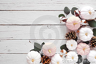 Fall corner border of dusty rose and white pumpkins and eucalyptus leaves over a white wood background Stock Photo