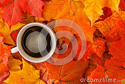 Fall creative art concept, maple leaves on table Stock Photo