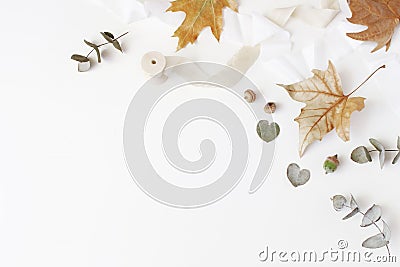 Fall creative styled composition. Autumn floral arrangement with dry eucalyptus, maple leaves and silk ribbon on white Stock Photo