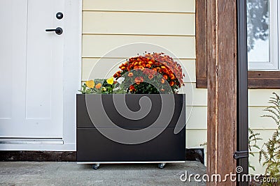 Fall flowers decorate the front door stoop of a house. Stock Photo