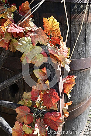 Fall flowers wrapped on a wagon wheel on a Fall day in Groton, Massachusetts, Middlesex County, United States. New England Fall. Stock Photo