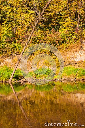 Fall foliage Along The Little Turkey River Stock Photo