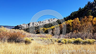 Fall foliage at Cave Lake State Park outside of Ely, Nevada Stock Photo