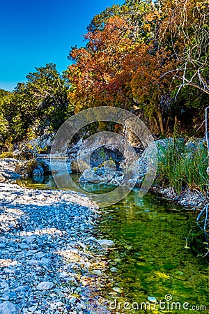 Fall Foliage on a Clear Rocky Creek with Maple Trees in Lost Maples Stock Photo