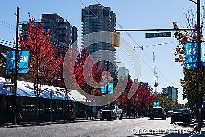 Fall foliage, colorful red leaves in autumn, Canada Vancouver, BC Editorial Stock Photo