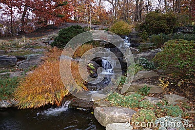 Fall Foliage At Dusk In The New York Botanical Garden Stock Photo