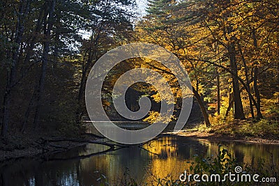 Fall foliage in forest on lake with reflections, Mansfield, Conn Stock Photo