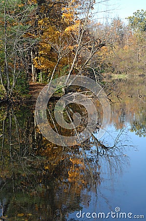 Fall foliage reflecting in water Stock Photo