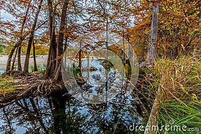Fall Foliage Surrounding the Frio River at Garner State Park Stock Photo