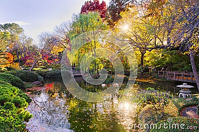 Fall Foliage in Texas Stock Photo