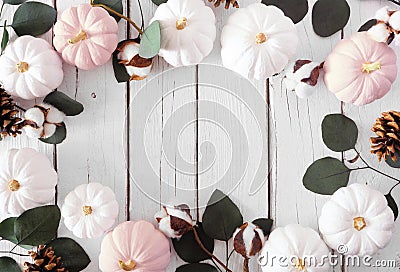 Fall frame of dusty rose and white pumpkins and eucalyptus leaves over a white wood background Stock Photo