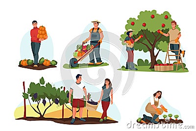 Fall harvesting, farming concept. Vector flat cartoon illustration. Farmers harvest autumn vegetables and fruits Vector Illustration