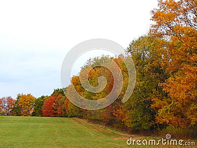 Autumn hedgerow borders around FingerLakes crop field Stock Photo