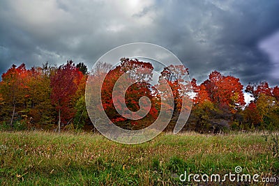 Fall landscape eastern townships Stock Photo