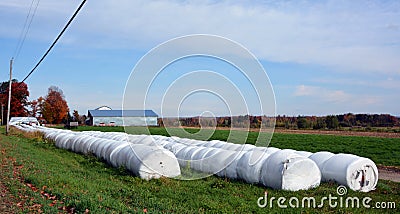 Fall landscape hay bales Stock Photo