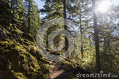 Fall Landscape in North Cascades National Park Stock Photo