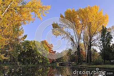 Fall landscape scene in city Park Skopje #2 Stock Photo