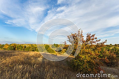 Fall landscape at sunset Stock Photo