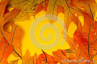 Fall Leaf Background Stock Photo