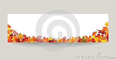 Fall leaf nature banner. Autumn leaves background. Season floral Stock Photo