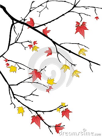 Fall leaves Vector Illustration