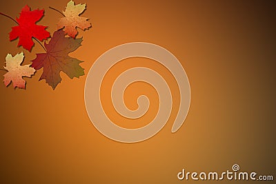 fall leaves Stock Photo